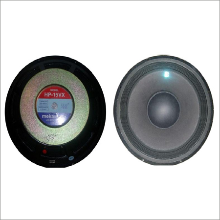 Professional Speaker
