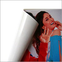 Vinyl Sign Boards