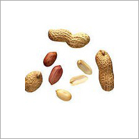 Peanuts Seeds