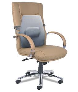 Back Rest (Large)