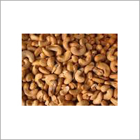 Fresh Cashew Nuts