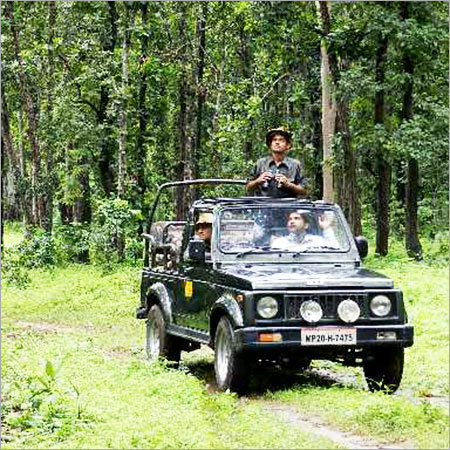 Landscaping Services