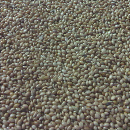 Yellow Millet - Gluten-Free, Low Moisture, Brown Color | High Nutritional Content, Pesticide-Free, Rich in Fiber, Available in Bulk and Bags