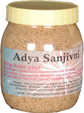Adya Sanjivni