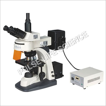 Fluorescence Microscope