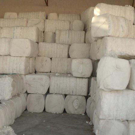 Natural Cotton Bales