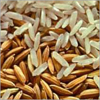 Paddy Rice