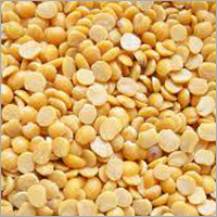 Gram Pulses