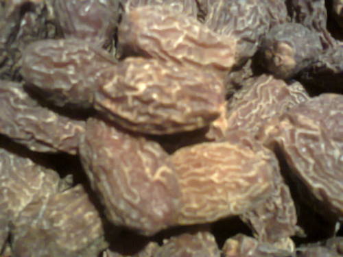 Dates (Khajor )