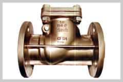 Check Valve (nrv)