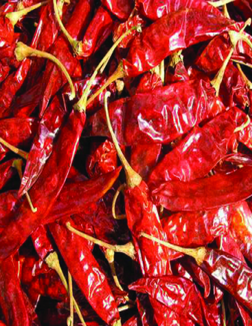 Red Chilli