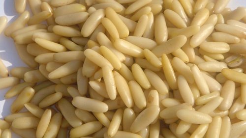 Pine Nut (Chilgoza)
