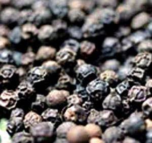 Black Pepper