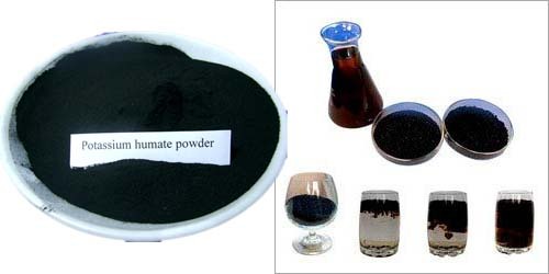 Humic Acid Liquid