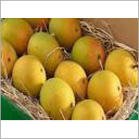 Fresh Mango Fruits