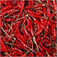 Dry Red Chilli