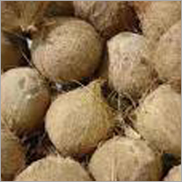 Dry Coconut