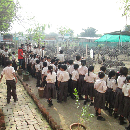 Primary School Student Visit Farm