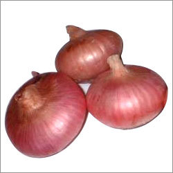 Onion