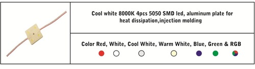 LED Injection Moduler 2