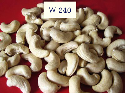 Cashew (Kaju)