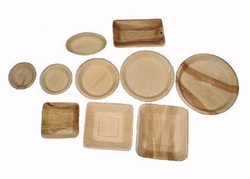Dinner Plate
