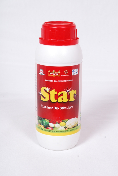 Pragya Star