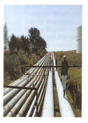 FRP Pipe