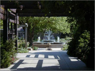 Landscape Lighting Design - LED Metal & Plastic Fixtures | Customizable Aesthetic Appeal, Enhanced Ambiance for Outdoor Pathways & Gardens