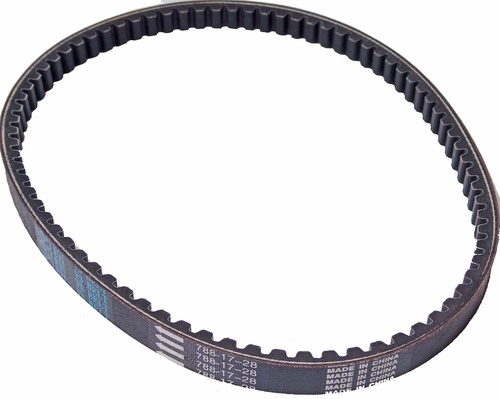 Variable Speed Belts