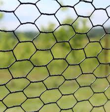 Hexa Fence Mesh