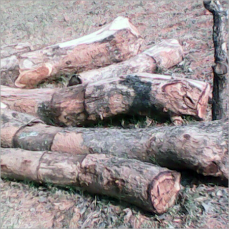 Timber Sleepers