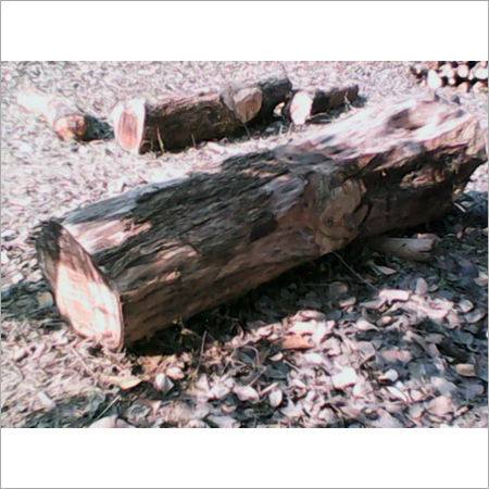 Teak Wood Round Logs