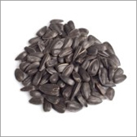 Sunflower Seeds Isolated On White