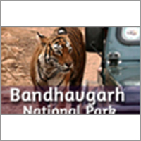 Bandhavgarh National Park Package