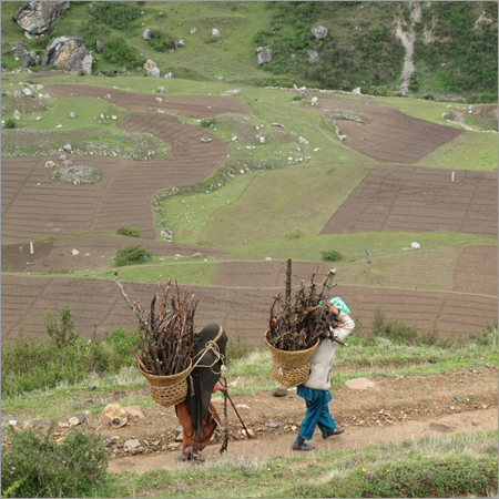 Pindari Glacier Trekking