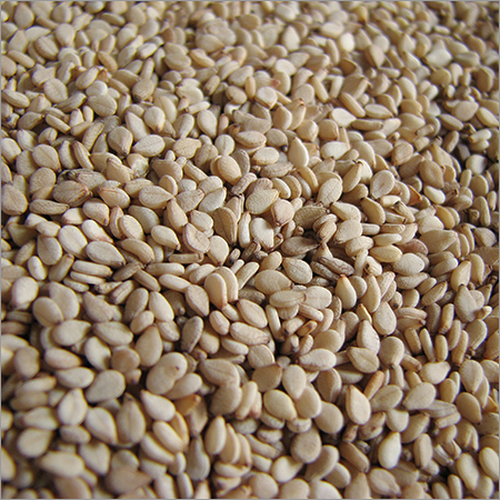 Premium Natural Sesame Seeds