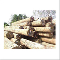 Merbau Wood Logs
