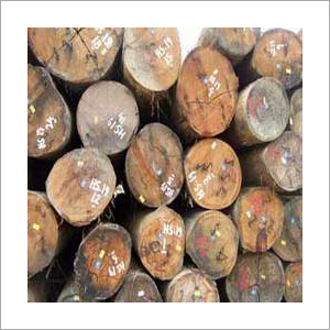Sal Wood Logs