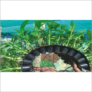 G9 TC Primary Hardening Plants