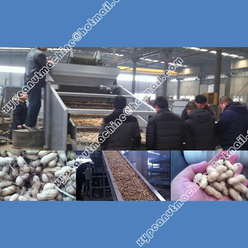 Peanut Pedicels Removing Machine