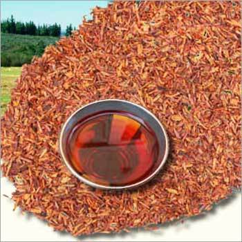 Red Bush Tea
