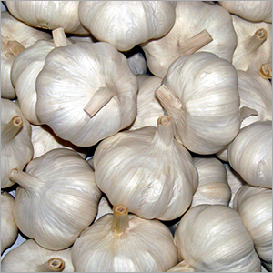 Dry Garlic