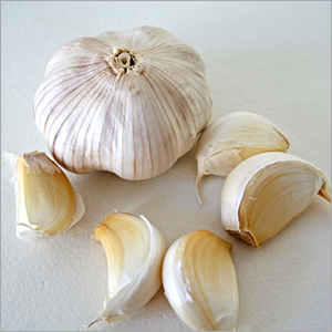 Indian Garlic