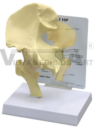 Pharmaceutical Gifts 