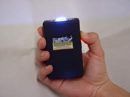 handheld stun gun