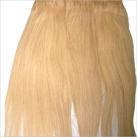 Human Hair Wigs