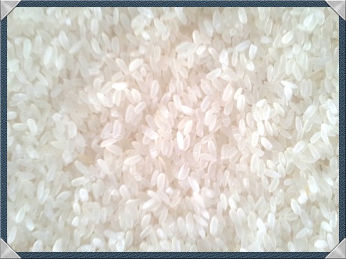Fresh Non Basmati Rice - Off-White Medium Grain Length | Mild Aroma Nutritional Impurity Free Carbohydrate Rich