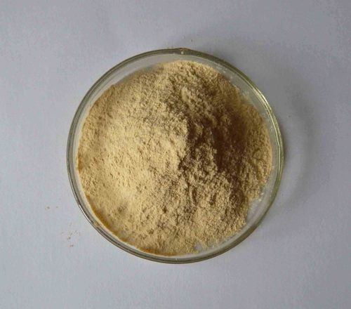 Whey Protein Hydrolysate 80% Powder - Color: Yellow