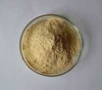 Whey Protein Hydrolysate 80% Powder